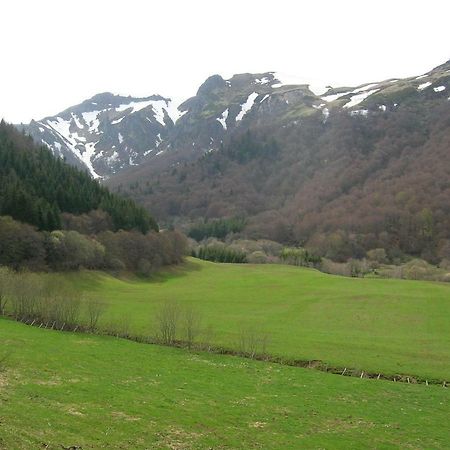 Villa le monne  Chambon-sur-Lac Esterno foto