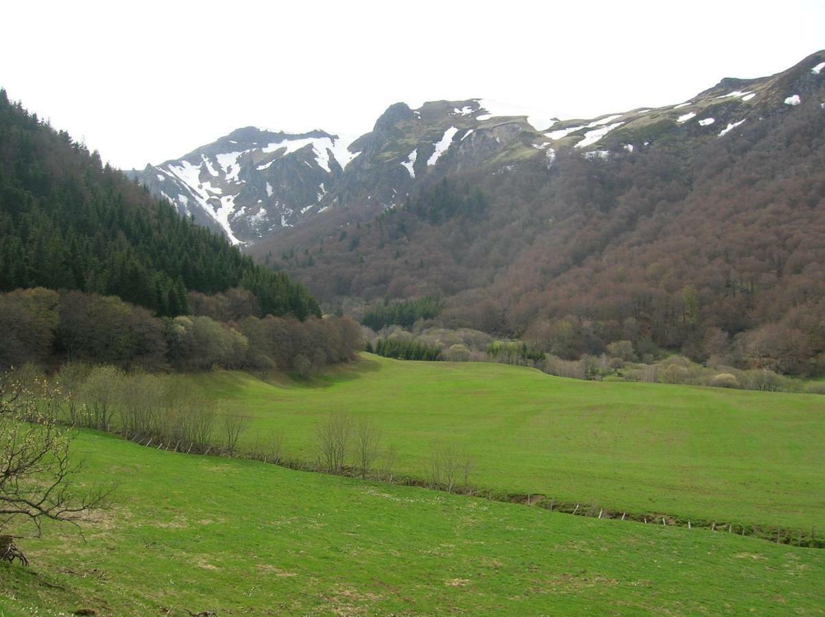 Villa le monne  Chambon-sur-Lac Esterno foto